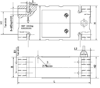 H6F-C3-100kg-3B6